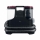 Hoover HS530 011 Fleckenreiniger