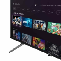 Grundig 55 GUB 7340 Fernseher