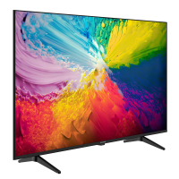 Grundig 55 GUB 6300 Fernseher