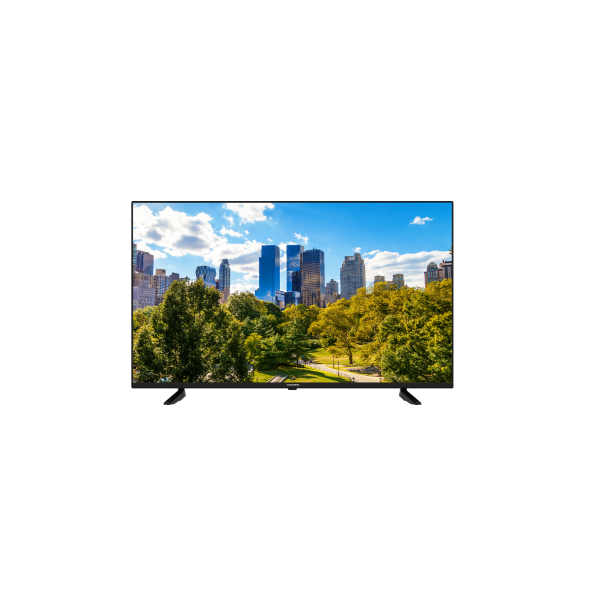 Grundig 55 VCE 220 Fernseher