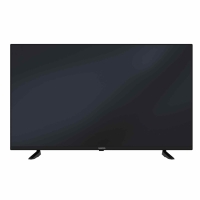 Grundig 55 VCE 220 Fernseher