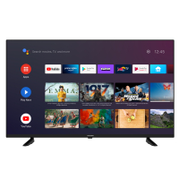 Grundig 55 VCE 222 Fernseher