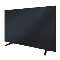 Grundig 55 VCE 222 Fernseher