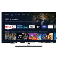 Grundig 55 GOB 9490 Singapur Fernseher