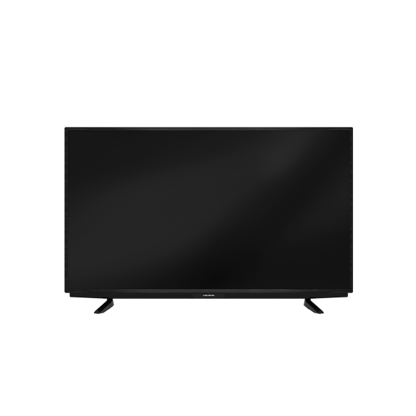 Grundig 55 VCE 200 Fernseher