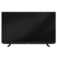Grundig 55 VCE 200 Fernseher