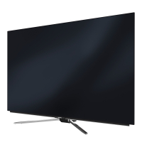 Grundig 55 GOB 9290 Fernseher