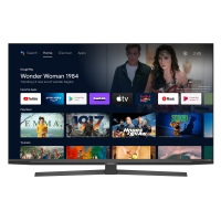 Grundig 55 CUA 8290 Paris Fernseher