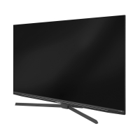 Grundig 55 CUA 8290 Paris Fernseher
