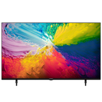 Grundig 65 VCE 223 Fernseher