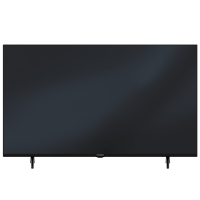 Grundig 65 VCE 223 Fernseher