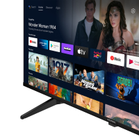 Grundig 65 VCE 223 Fernseher