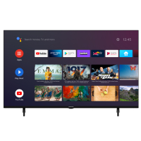 Grundig 55 VCE 223 Fernseher