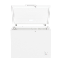 Gorenje FH30DCW Gefriertruhe