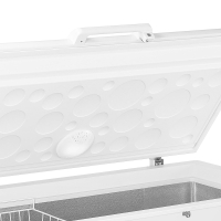 Haier HCE321C Gefriertruhe