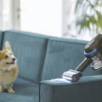 Hoover HF410YP3 011 Akkustaubsauger