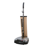 Hoover F38PQ/1 011 Staubsauger