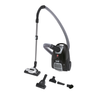 Hoover HE520PET 011 Staubsauger