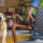 Hoover HE520PET 011 Staubsauger