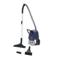 Hoover BV61PET 011 Staubsauger