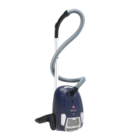 Hoover BV61PET 011 Staubsauger