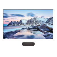 Hisense 100L5F-D12 Fernseher