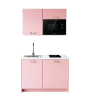 Roctor RT1017GO Pantryk&uuml;che mit E-Ger&auml;te Nordic Ros&eacute;