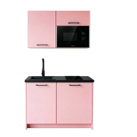 Roctor RT1016GO Pantryk&uuml;che mit E-Ger&auml;te Nordic Ros&eacute; Black