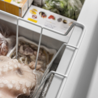 RO_GT2702 // R // BAUKNECHT // GT2702