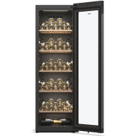 Haier HWS247GEH1 Weink&uuml;hlschrank