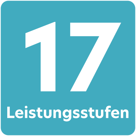 Symbol für #global.qi_17_leistungsstufen#