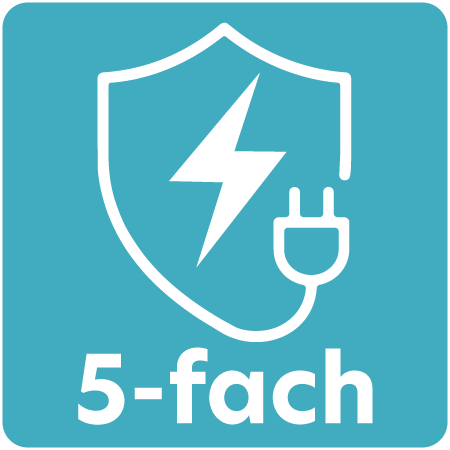 Symbol für #global.qi_5-fach_schutz#