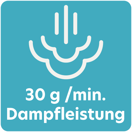 Symbol für #global.qi_dampfleistung#