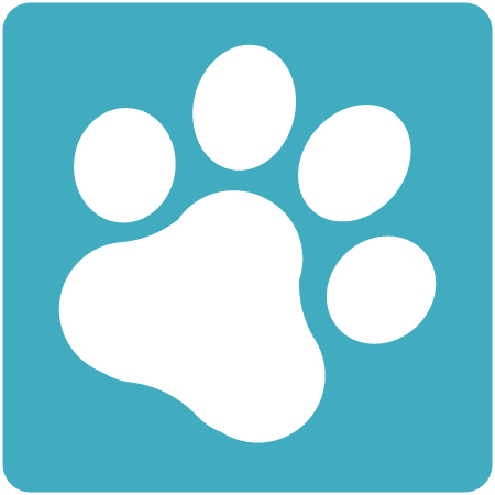 Symbol für #global.qi_tier#