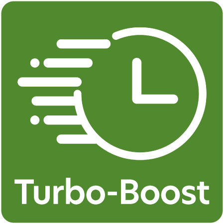 Symbol für #global.qi_turbo_boost#